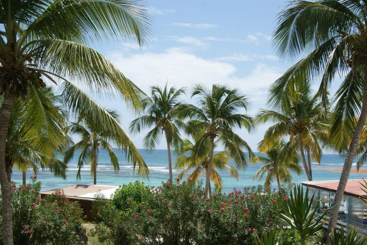 Studio Bleu Coco Saint-Francois  Exterior foto